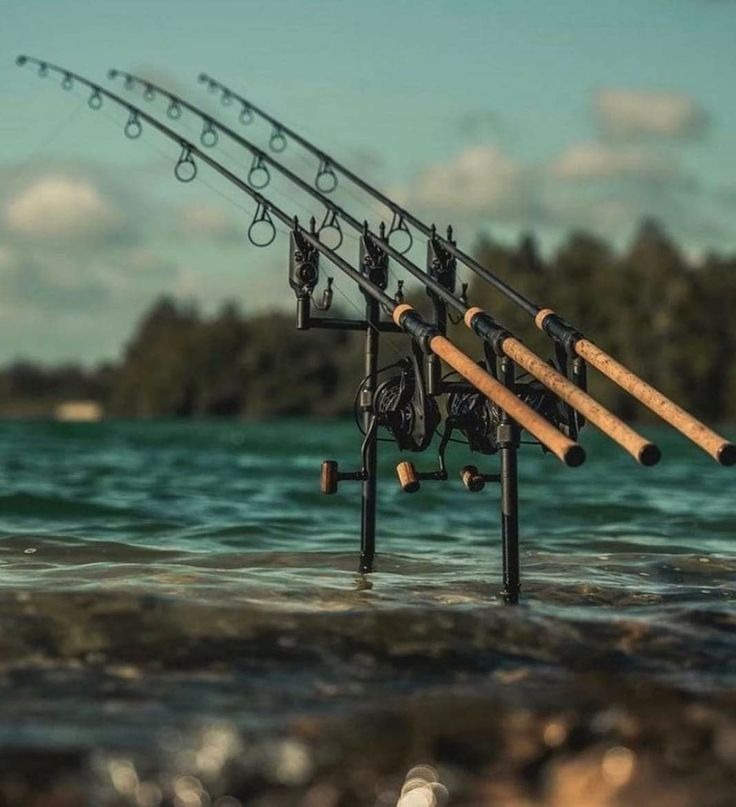 Hengelsport in Gouda